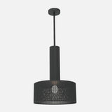 Alula Modern Black Pendant Light