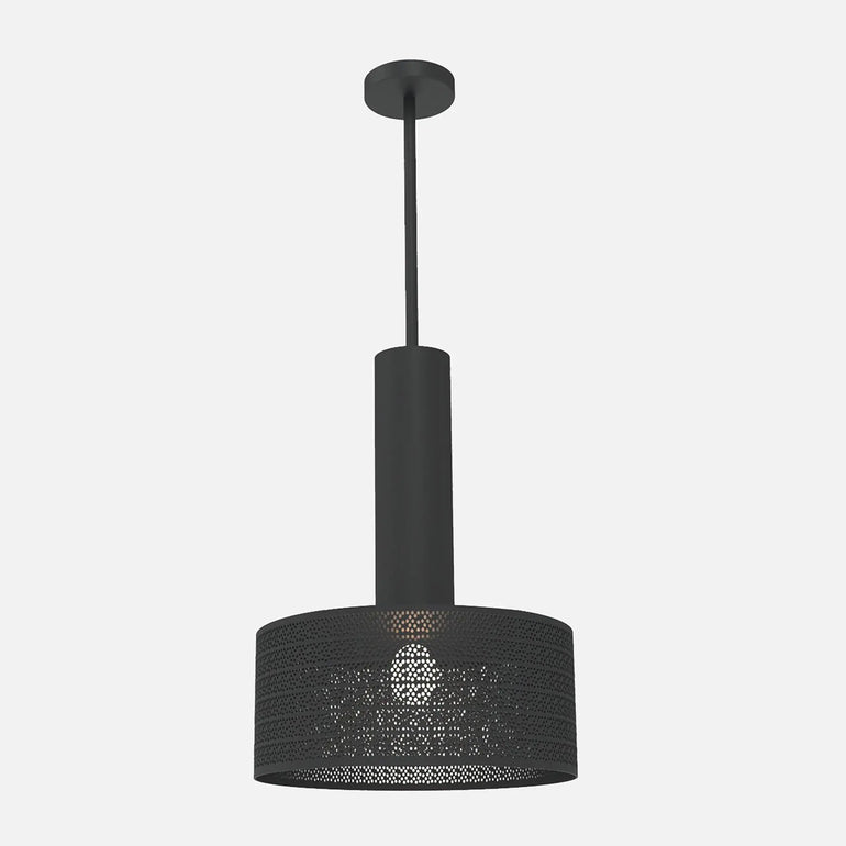 Alula Modern Black Pendant Light