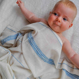 Cotton Muslin Blanket Set 2 - Lali Gray Blue