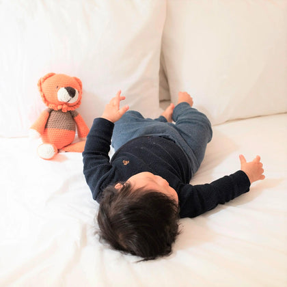 Stuffed Lion Tau Toy