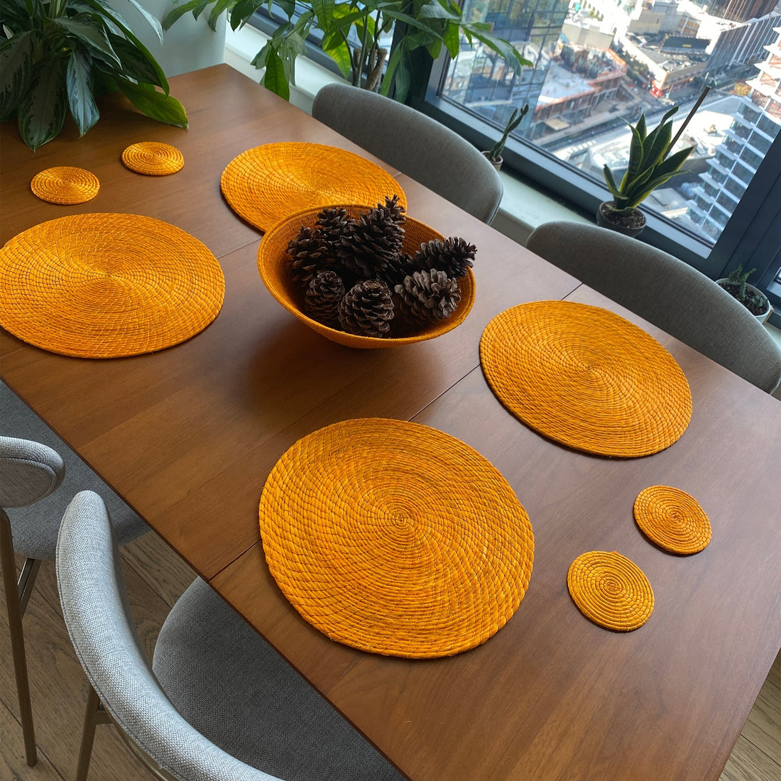 Mango Yellow Cool Coasters 4 Set - 54kibo